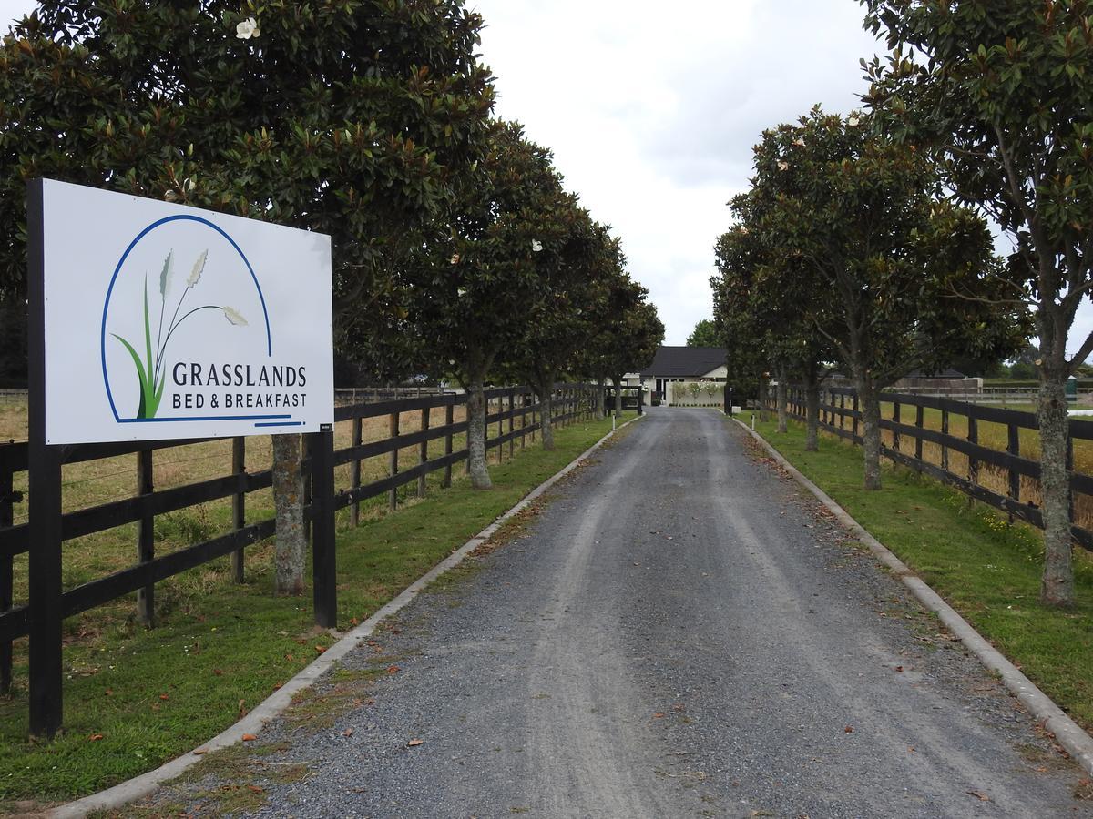 Grasslands Bed & Breakfast Cambridge Buitenkant foto