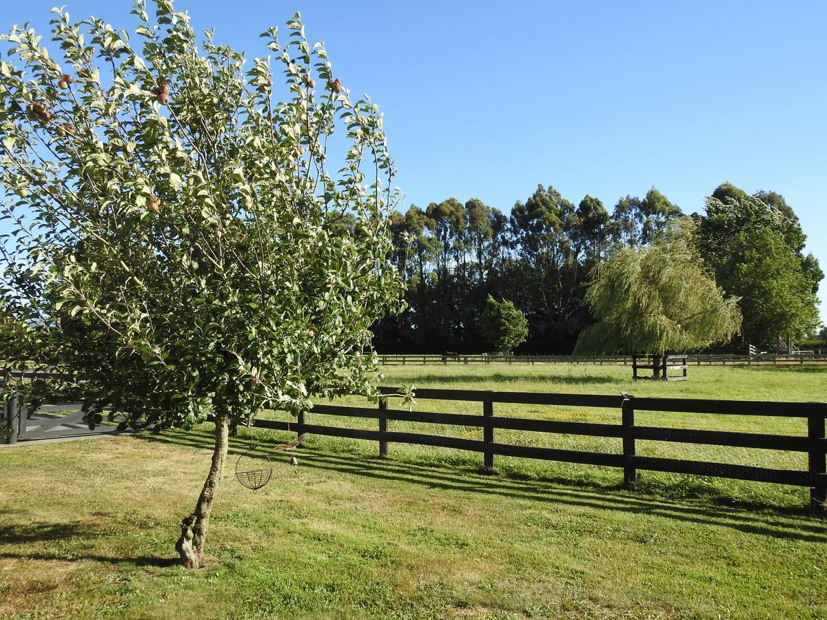 Grasslands Bed & Breakfast Cambridge Buitenkant foto